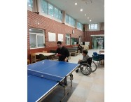 [프로그램] 핑핑퐁…